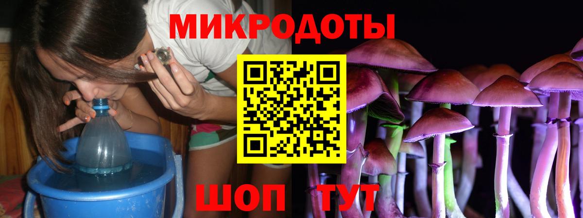 Псилоцибиновые грибы Psilocybine cubensis  Вход с VPN  Зерноград 